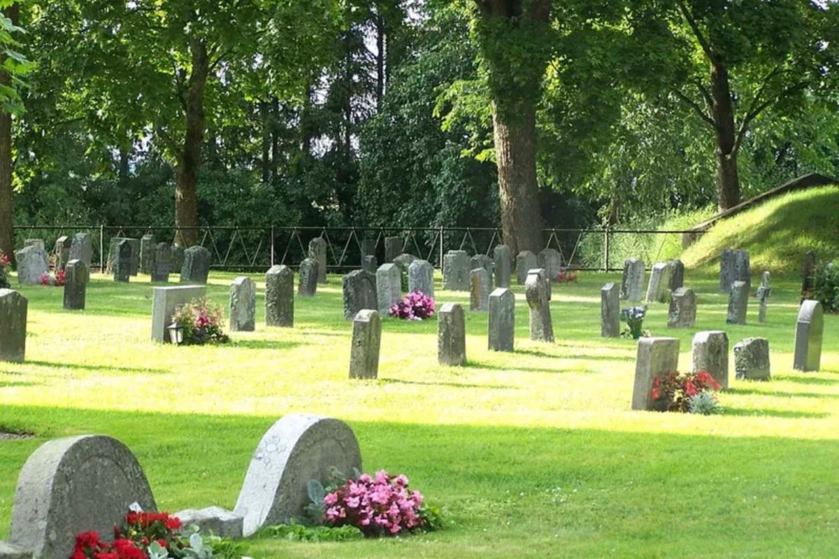 Rows of weathered headstones with flowers on a sunlit lawn under tall shade trees at Springlawn Cemetery